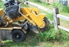 Duffys Foreststump-grinding-services-3.jpg; ?>
